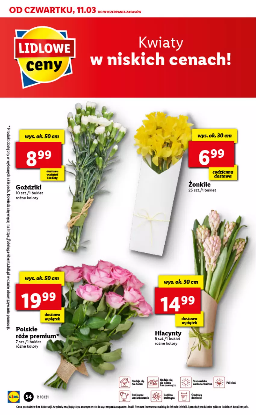 Gazetka promocyjna Lidl - GAZETKA - ważna 11.03 do 13.03.2021 - strona 54 - produkty: Bukiet