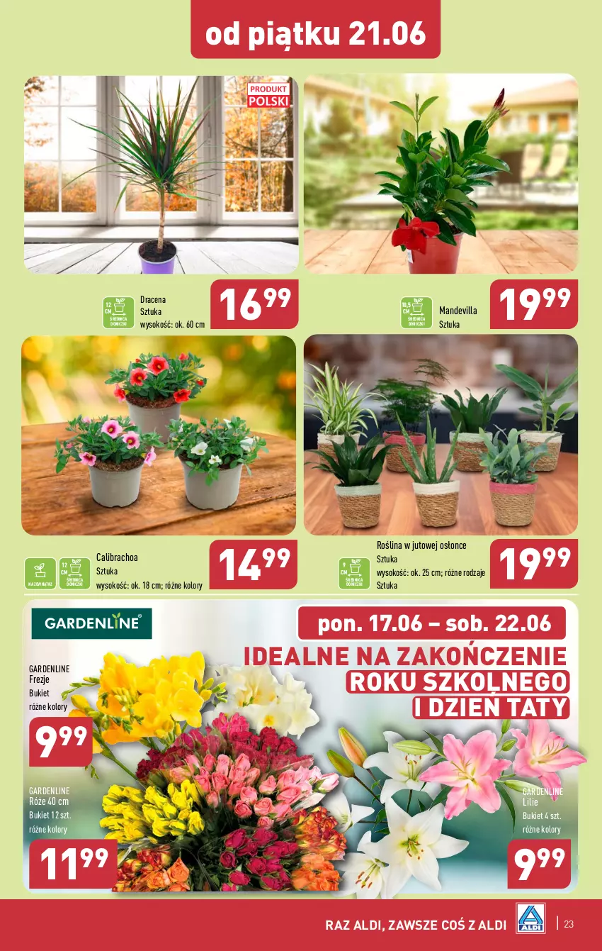 Gazetka promocyjna Aldi - Pełna oferta - ważna 17.06 do 22.06.2024 - strona 23 - produkty: Bukiet, Sok