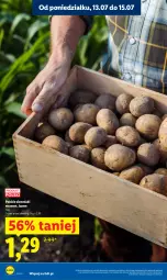 Gazetka promocyjna Lidl - Gazetka ważna od 13.07 do 15.07 - Gazetka - ważna od 15.07 do 15.07.2026 - strona 10 - produkty: Ziemniaki
