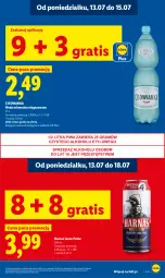 Gazetka promocyjna Lidl - Gazetka ważna od 13.07 do 15.07 - Gazetka - ważna od 15.07 do 15.07.2026 - strona 19 - produkty: Piwa, Gra, Woda mineralna, Woda, Harnaś