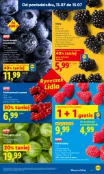 Gazetka promocyjna Lidl - Gazetka ważna od 13.07 do 15.07 - Gazetka - ważna od 15.07 do 15.07.2026 - strona 41 - produkty: Por, Gra, Jeżyny, Porzeczki czerwone, Maliny, Gres