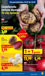 Gazetka promocyjna Lidl - Gazetka ważna od 13.07 do 15.07 - Gazetka - ważna od 15.07 do 15.07.2026 - strona 43 - produkty: Piec, Gra, Ziemniaki, Buraki, Pomidory