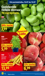 Gazetka promocyjna Lidl - Gazetka ważna od 13.07 do 15.07 - Gazetka - ważna od 15.07 do 15.07.2026 - strona 44 - produkty: Kolendra, Fasola, Fasola szparagowa, Brzoskwinie, Fa