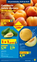 Gazetka promocyjna Lidl - Gazetka ważna od 13.07 do 15.07 - Gazetka - ważna od 15.07 do 15.07.2026 - strona 45 - produkty: Gra, Melon