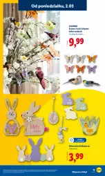 Gazetka promocyjna Lidl - Oferta ważna od 2.03 - Gazetka - ważna od 07.03 do 07.03.2026 - strona 17 - produkty: Ivar