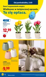 Gazetka promocyjna Lidl - Oferta ważna od 2.03 - Gazetka - ważna od 07.03 do 07.03.2026 - strona 18 - produkty: Ivar, Tulipan, Wazon, Lazur