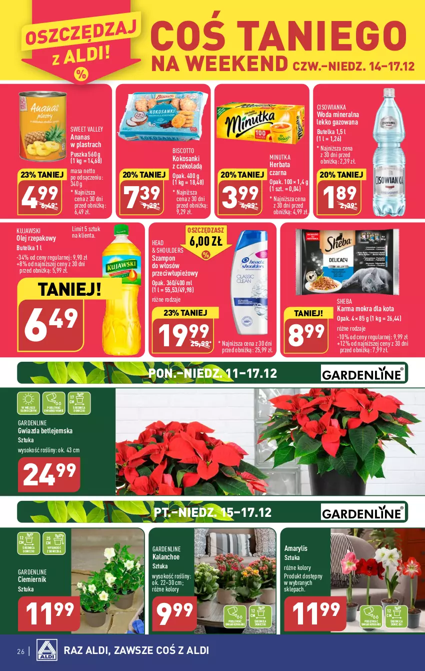 Gazetka promocyjna Aldi - Pełna oferta - ważna 11.12 do 17.12.2023 - strona 26 - produkty: Amarylis, Ananas, Ananas w plastrach, Cisowianka, Gwiazda, Herbata, Kalanchoe, Kokos, Kujawski, Olej, Olej rzepakowy, Sanki, Sheba, Sok, Szampon, Woda, Woda mineralna