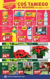 Gazetka promocyjna Aldi - Pełna oferta - Gazetka - ważna od 17.12 do 17.12.2023 - strona 26 - produkty: Kujawski, Sok, Amarylis, Ananas w plastrach, Ananas, Kalanchoe, Gwiazda, Sanki, Sheba, Szampon, Olej rzepakowy, Woda mineralna, Woda, Herbata, Cisowianka, Olej, Kokos