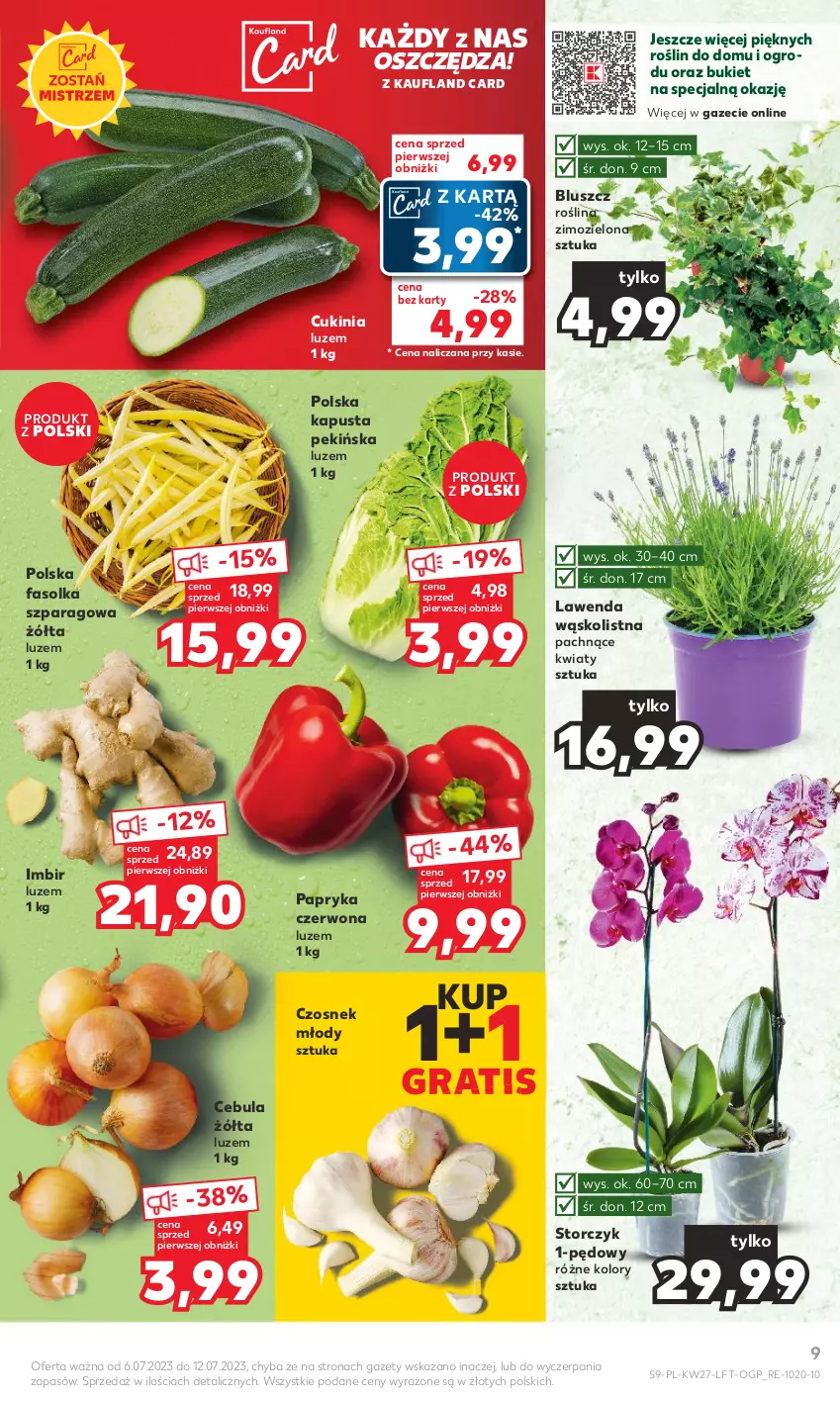 Gazetka promocyjna Kaufland - Gazetka tygodnia - ważna 06.07 do 12.07.2023 - strona 9 - produkty: Bukiet, Cebula, Czosnek, Fa, Gra, Imbir, Papryka, Papryka czerwona, Storczyk