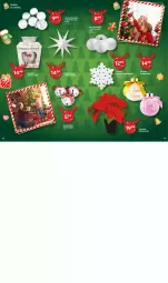 Gazetka promocyjna Delikatesy Centrum - Katalog Prezenty DC48-DC49-DC50 - Gazetka - ważna od 17.12 do 17.12.2025 - strona 5 - produkty: Gwiazda, Zestaw bombek