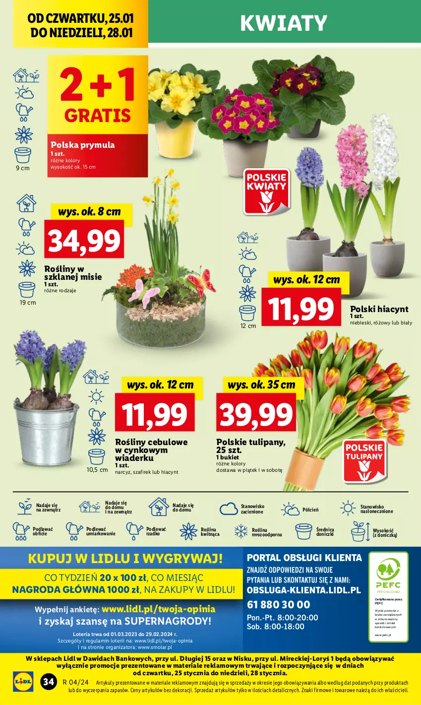 Gazetka promocyjna Lidl - GAZETKA - ważna 25.01 do 28.01.2024 - strona 38 - produkty: Bukiet, Cień, Cynk, Gra, Gry, Hiacynt, Mola, Narcyz, O nas, Por, Prymula, Sok, Tulipan