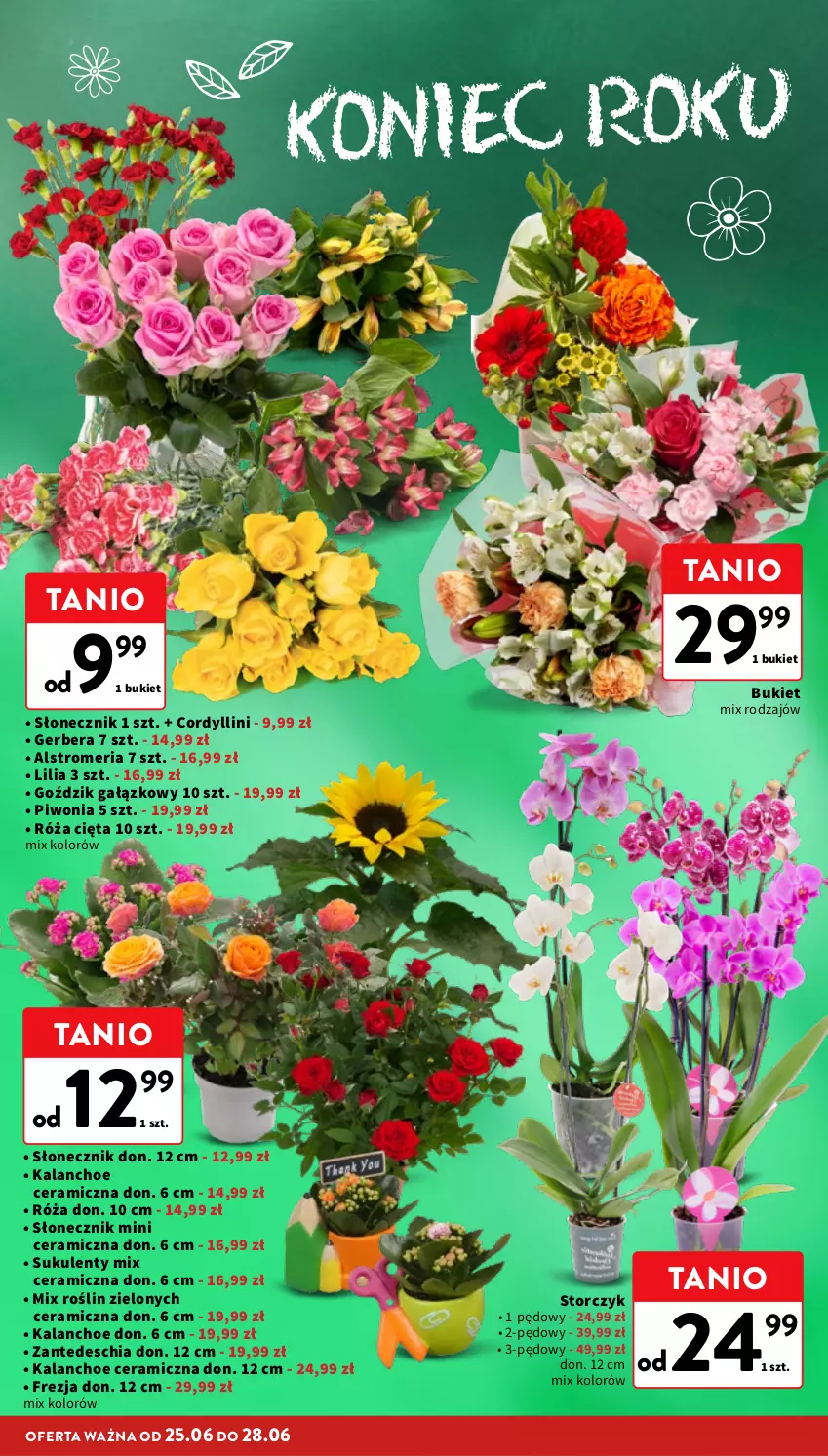 Gazetka promocyjna Intermarche - Gazetka Intermarche - ważna 25.06 do 01.07.2026 - strona 22 - produkty: Bukiet, Chia, Gerber, Kalanchoe, Piwo, Róża, Storczyk, Sukulent