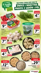 Gazetka promocyjna Intermarche - Gazetka Intermarche - Gazetka - ważna od 01.07 do 01.07.2026 - strona 11 - produkty: Piec, Warzywa, Ogórek, Sałat, Pieczarka, Owoce, Natka pietruszki, Mieszanka bakaliowa, Boczniak