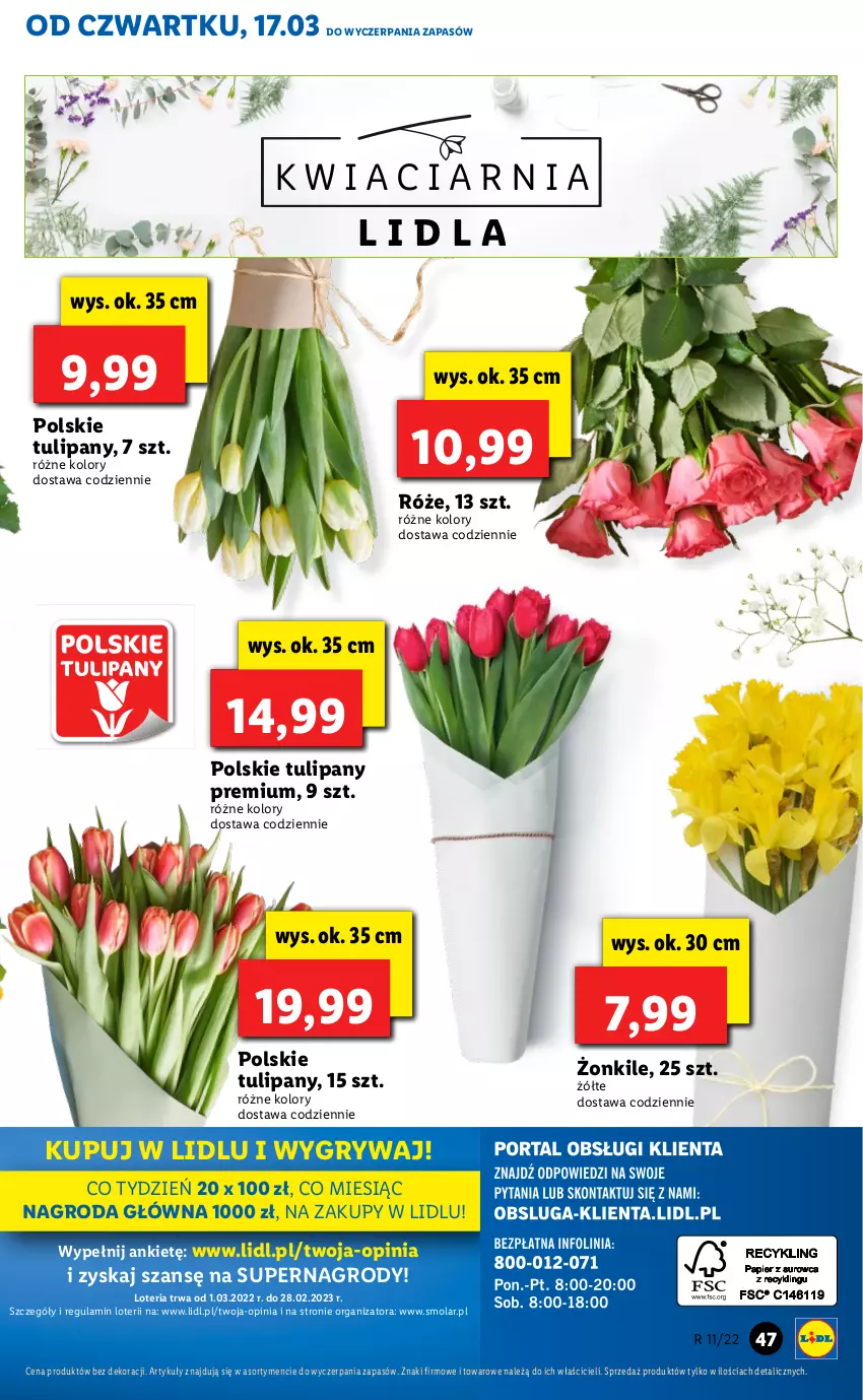 Gazetka promocyjna Lidl - GAZETKA - ważna 17.03 do 20.03.2022 - strona 47 - produkty: Gry, Mola, Tulipan