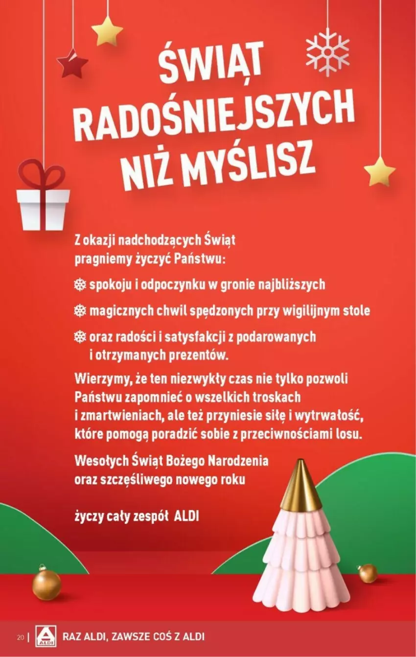 Gazetka promocyjna Aldi - ważna 18.12 do 23.12.2023 - strona 13 - produkty: Fa, JBL, Por