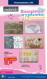 Gazetka promocyjna Lidl - Kompletna wyprawka w megacenach - Gazetka - ważna od 31.07 do 31.07.2026 - strona 56 - produkty: Por, Biurko, Podkładka, Podkład