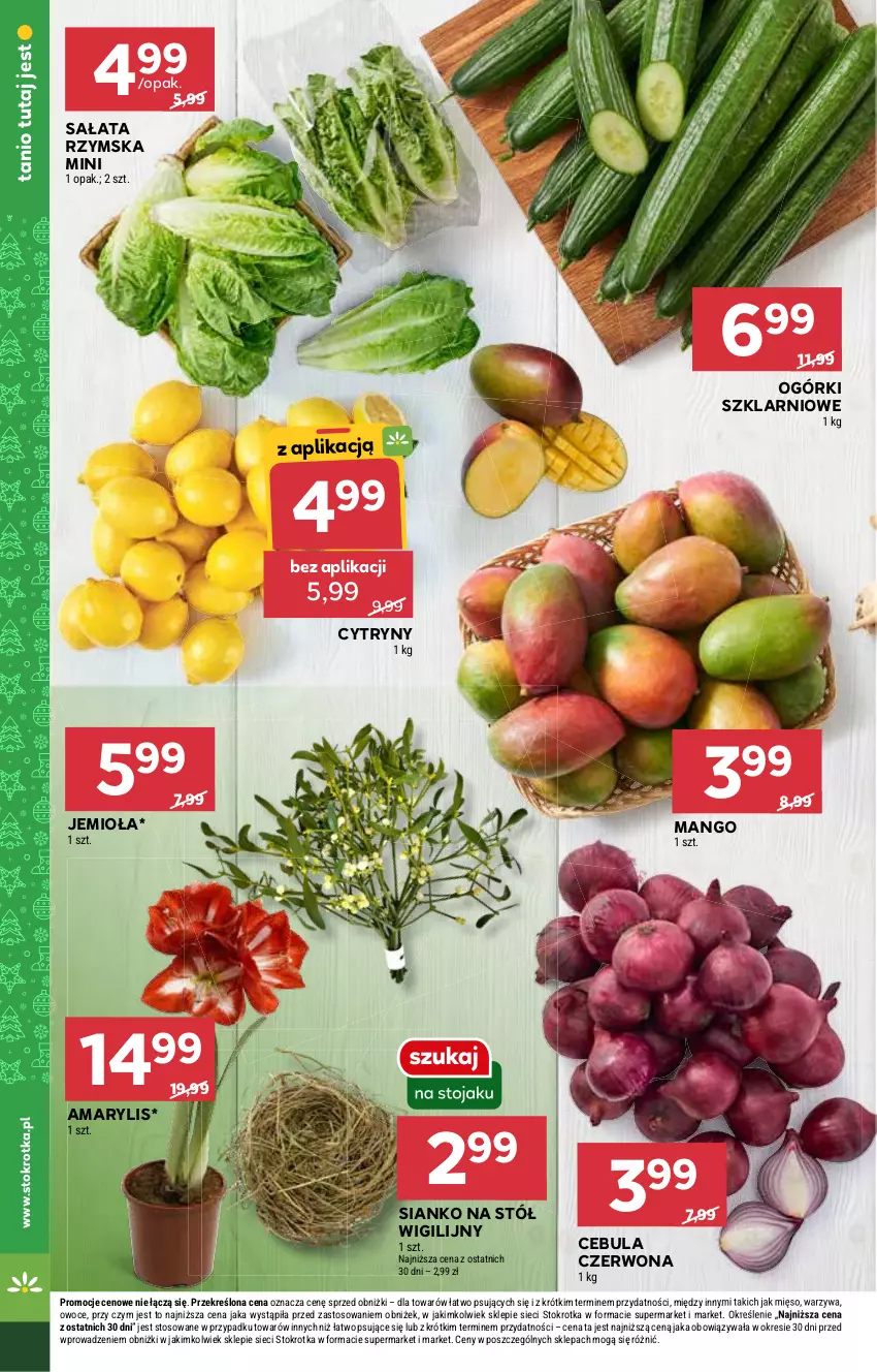 Gazetka promocyjna Stokrotka - Supermarket - ważna 19.12 do 27.12.2024 - strona 14 - produkty: Amarylis, Cebula, Cebula czerwona, Cytryny, Mango, Mięso, Owoce, Sałat, Stół, Warzywa