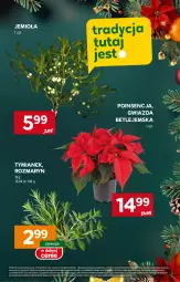 Gazetka promocyjna Stokrotka - Supermarket - Gazetka - ważna od 27.12 do 27.12.2024 - strona 3 - produkty: Gwiazda