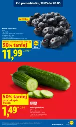 Gazetka promocyjna Lidl - Gazetka ważna od 18.05 do 20.05 - Gazetka - ważna od 20.05 do 20.05.2026 - strona 9 - produkty: Ogórek