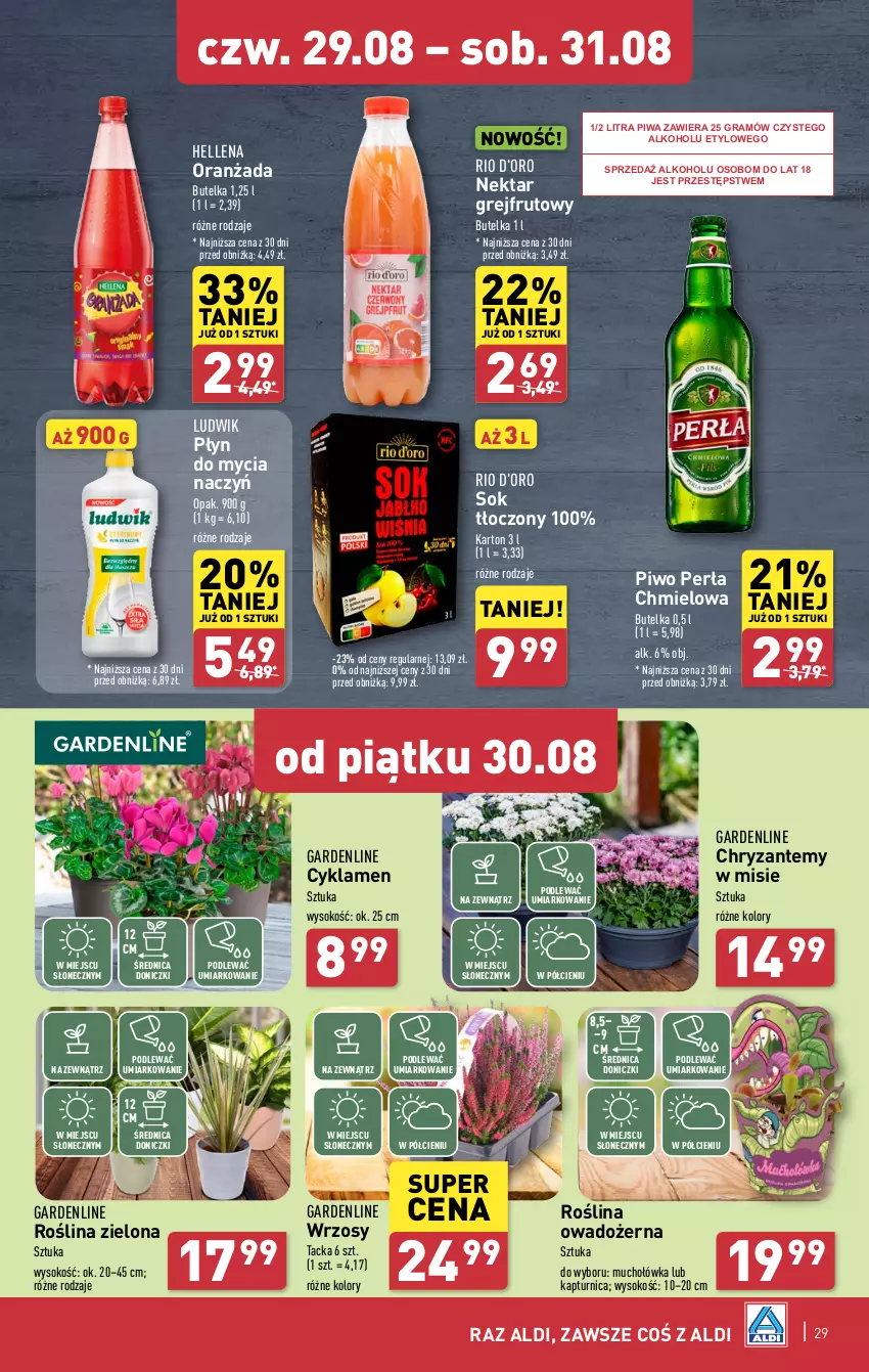 Gazetka promocyjna Aldi - Pełna oferta - ważna 26.08 do 31.08.2024 - strona 29 - produkty: Cyklamen, Do mycia naczyń, Gra, Hellena, Ludwik, Nektar, Oranżada, Perła, Piwa, Piwo, Płyn do mycia, Płyn do mycia naczyń, Sok