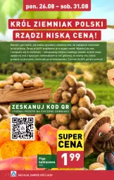 Gazetka promocyjna Aldi - Pełna oferta - Gazetka - ważna od 31.08 do 31.08.2024 - strona 4 - produkty: Kaktus