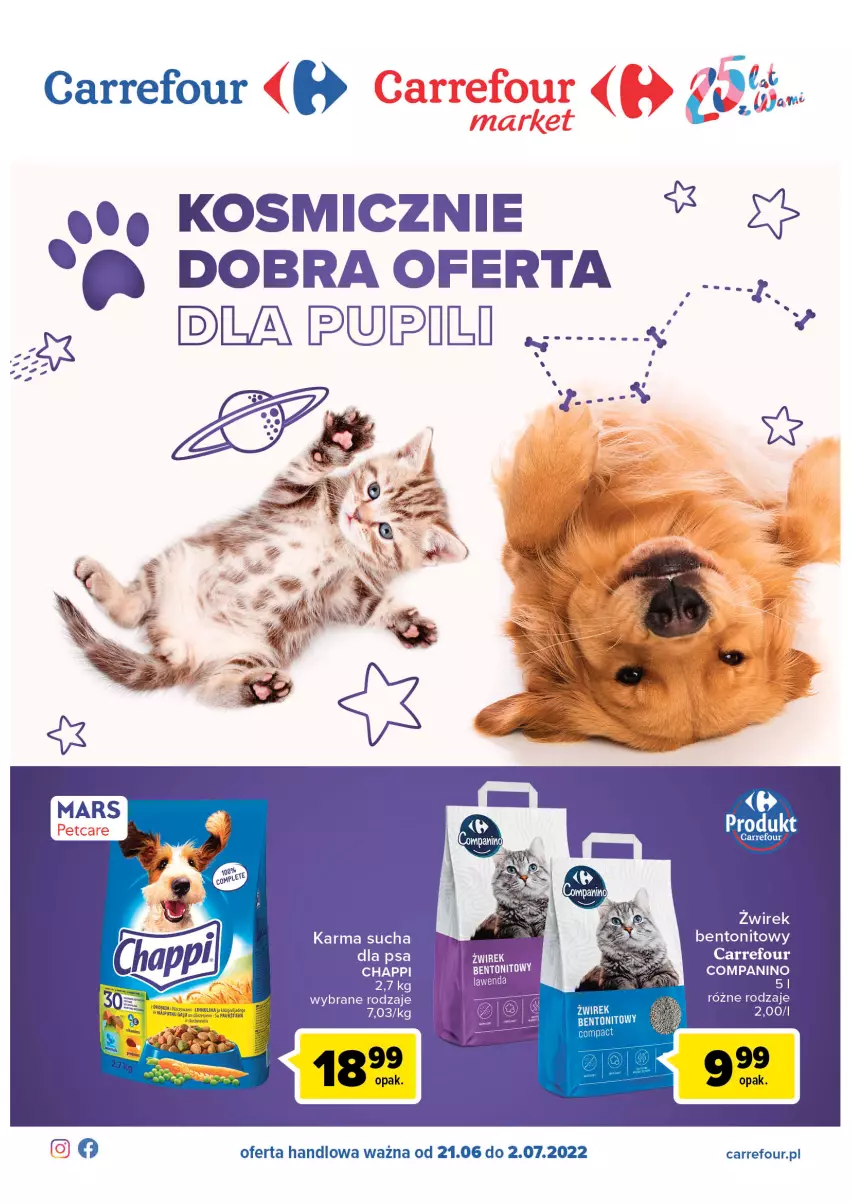 Gazetka promocyjna Carrefour - Gazetka Dobra oferta dla pupila - ważna 21.06 do 02.07.2022 - strona 1