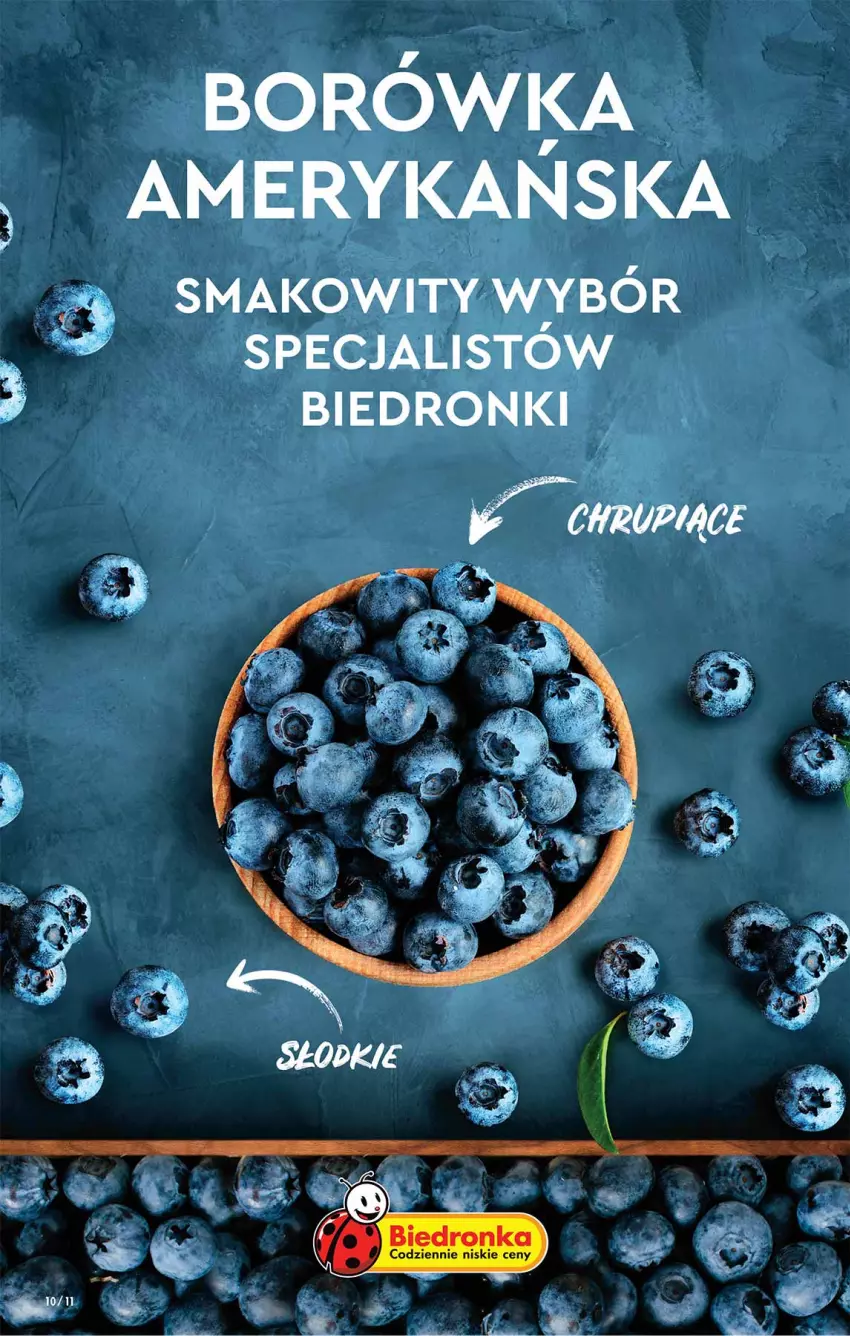 Gazetka promocyjna Biedronka - W tym tygodniu - ważna 07.04 do 13.04.2022 - strona 10 - produkty: Borówka, Borówka amerykańska, Dron