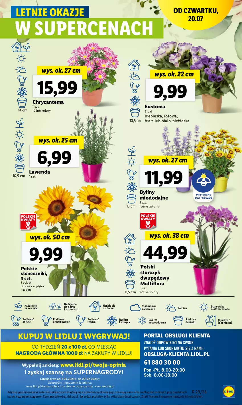 Gazetka promocyjna Lidl - GAZETKA - ważna 20.07 do 22.07.2023 - strona 93 - produkty: Bukiet, Chryzantema, Cień, Flora, Gry, Mola, O nas, Por, Sok, Storczyk