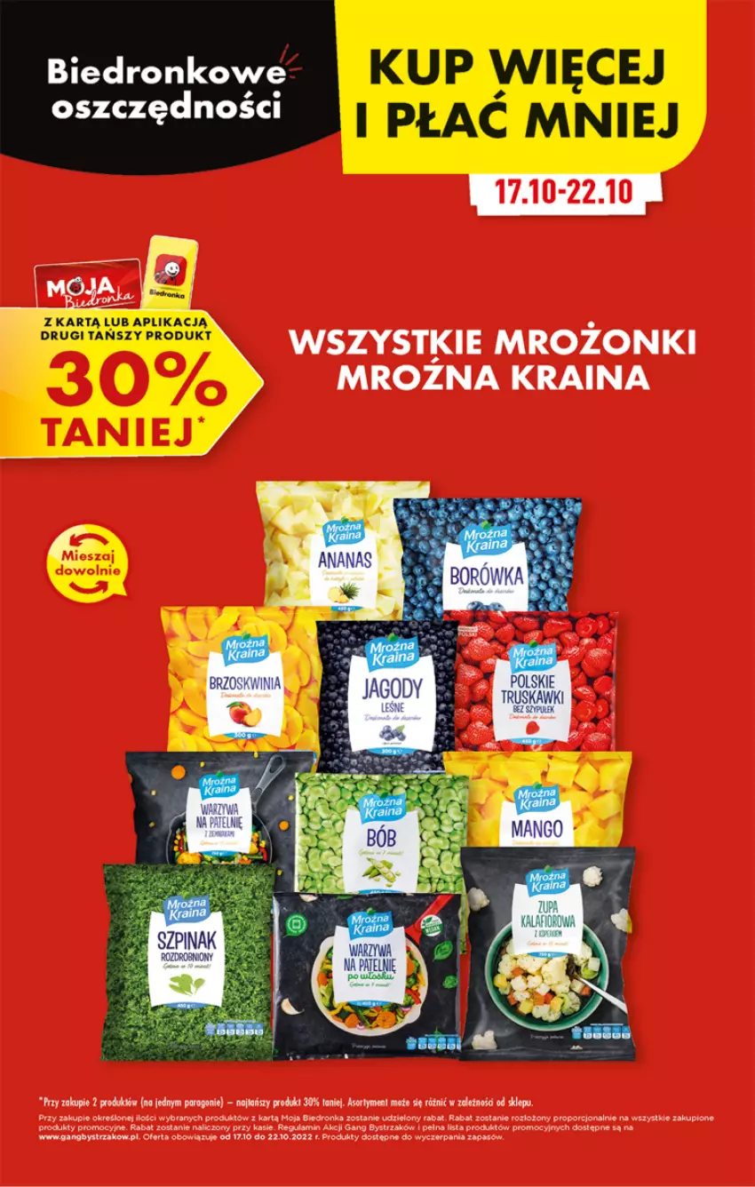 Gazetka promocyjna Biedronka - W tym tygodniu P - ważna 17.10 do 22.10.2022 - strona 48 - produkty: Dron, Por