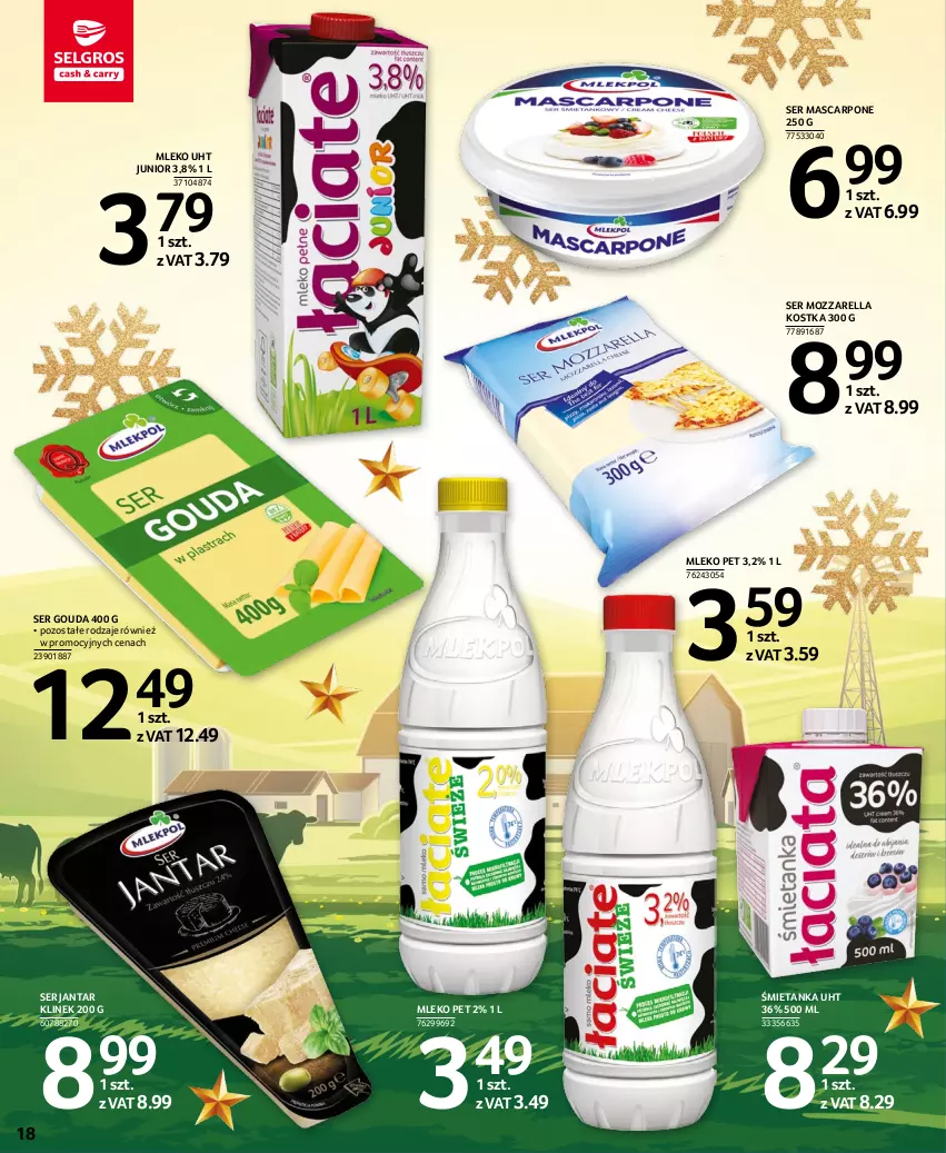 Gazetka promocyjna Selgros - Oferta spożywcza - ważna 15.12 do 26.12.2022 - strona 18 - produkty: Gouda, Mascarpone, Mleko, Mozzarella, Ser