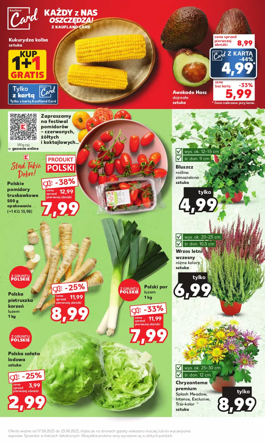 Gazetka promocyjna Kaufland - Mocny Start - ważna 21.08 do 23.08.2023 - strona 9 - produkty: Chryzantema, Gra, Grunt, Kukurydza, Pietruszka, Pomidory, Por, Sałat, Sałata lodowa