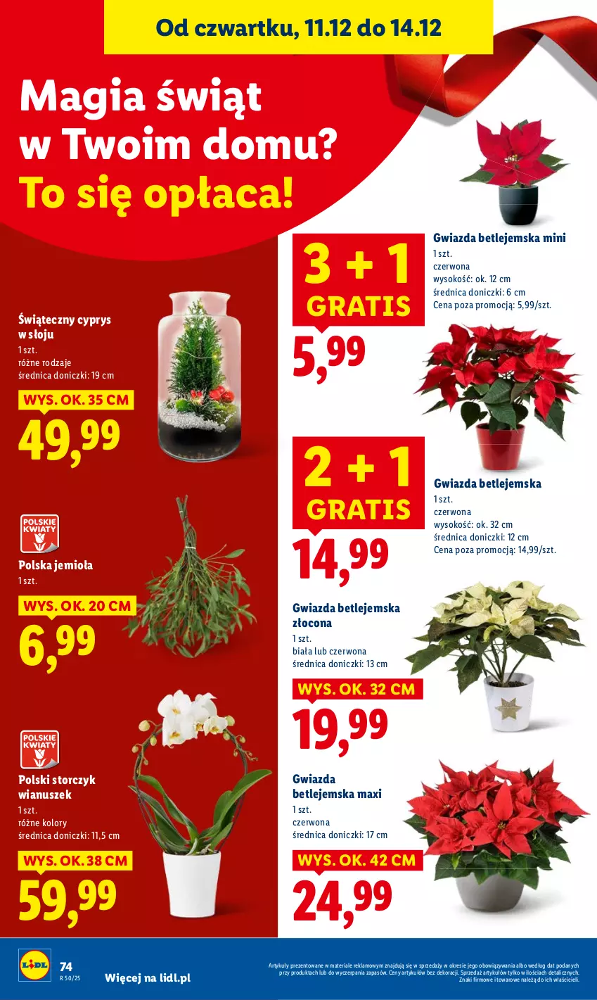 Gazetka promocyjna Lidl - GAZETKA - ważna 11.12 do 14.12.2025 - strona 74 - produkty: Gra, Sok, Storczyk