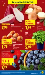 Gazetka promocyjna Lidl - GAZETKA - Gazetka - ważna od 14.12 do 14.12.2025 - strona 31 - produkty: Cebula, Gra, Gruszki, Bazyl, Bazylia