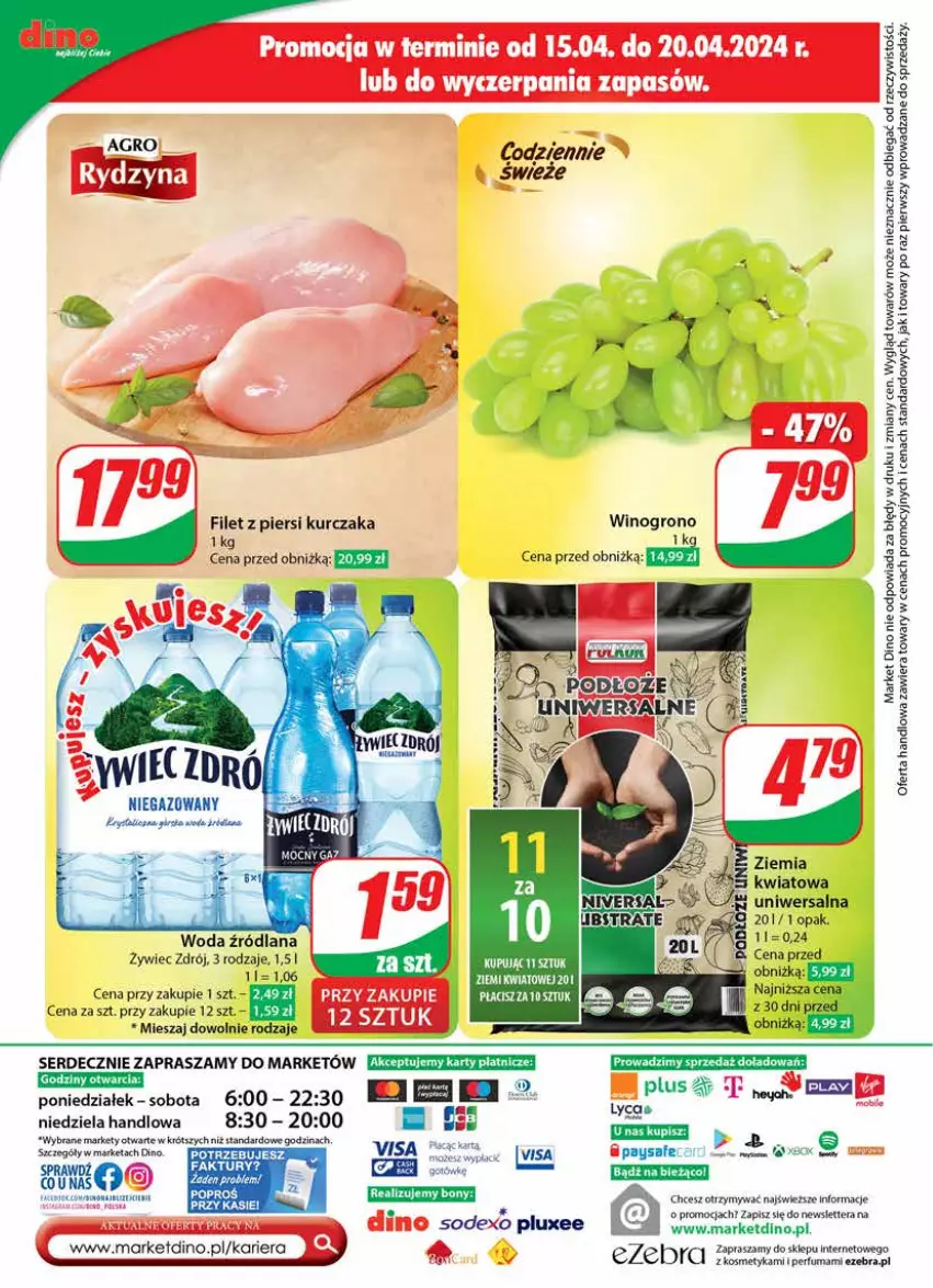 Gazetka promocyjna Dino - Gazetka 16 / 2024 - ważna 17.04 do 23.04.2024 - strona 60 - produkty: Fa, Filet z piersi kurczaka, Kurczak, LANA, Perfum, Ser, Tera, Wino, Woda