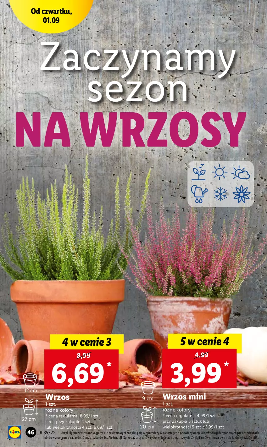 Gazetka promocyjna Lidl - GAZETKA - ważna 01.09 do 03.09.2022 - strona 46