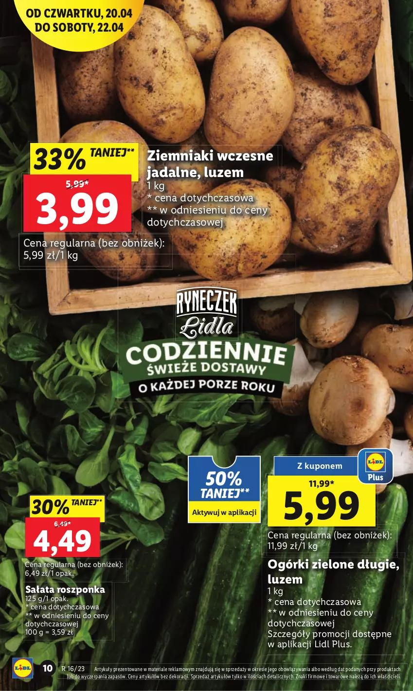 Gazetka promocyjna Lidl - GAZETKA - ważna 20.04 do 22.04.2023 - strona 14 - produkty: Fa, Roszponka, Sałat, Ziemniaki