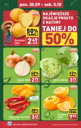 Gazetka promocyjna Aldi - Farmer ALDIK poleca świeże owoce i warzywa - Gazetka - ważna od 05.10 do 05.10.2024 - strona 2 - produkty: Cebula, Sałata lodowa, Ziemniaki, Sałat, Pomidory