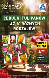 Gazetka promocyjna Aldi - Farmer ALDIK poleca świeże owoce i warzywa - Gazetka - ważna od 05.10 do 05.10.2024 - strona 7 - produkty: Tulipan, Fa