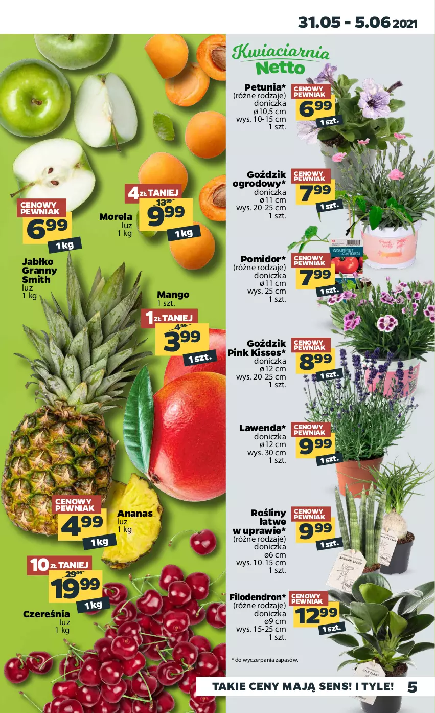 Gazetka promocyjna Netto - Gazetka spożywcza - ważna 31.05 do 05.06.2021 - strona 5 - produkty: Ananas, Dron, Gra, Mango, Morela