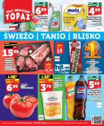 Gazetka promocyjna Topaz - Gazetka - Gazetka - ważna od 18.03 do 18.03.2026 - strona 1 - produkty: Papier, Karkówka wieprzowa, Ręcznik, Rolki, Mola
