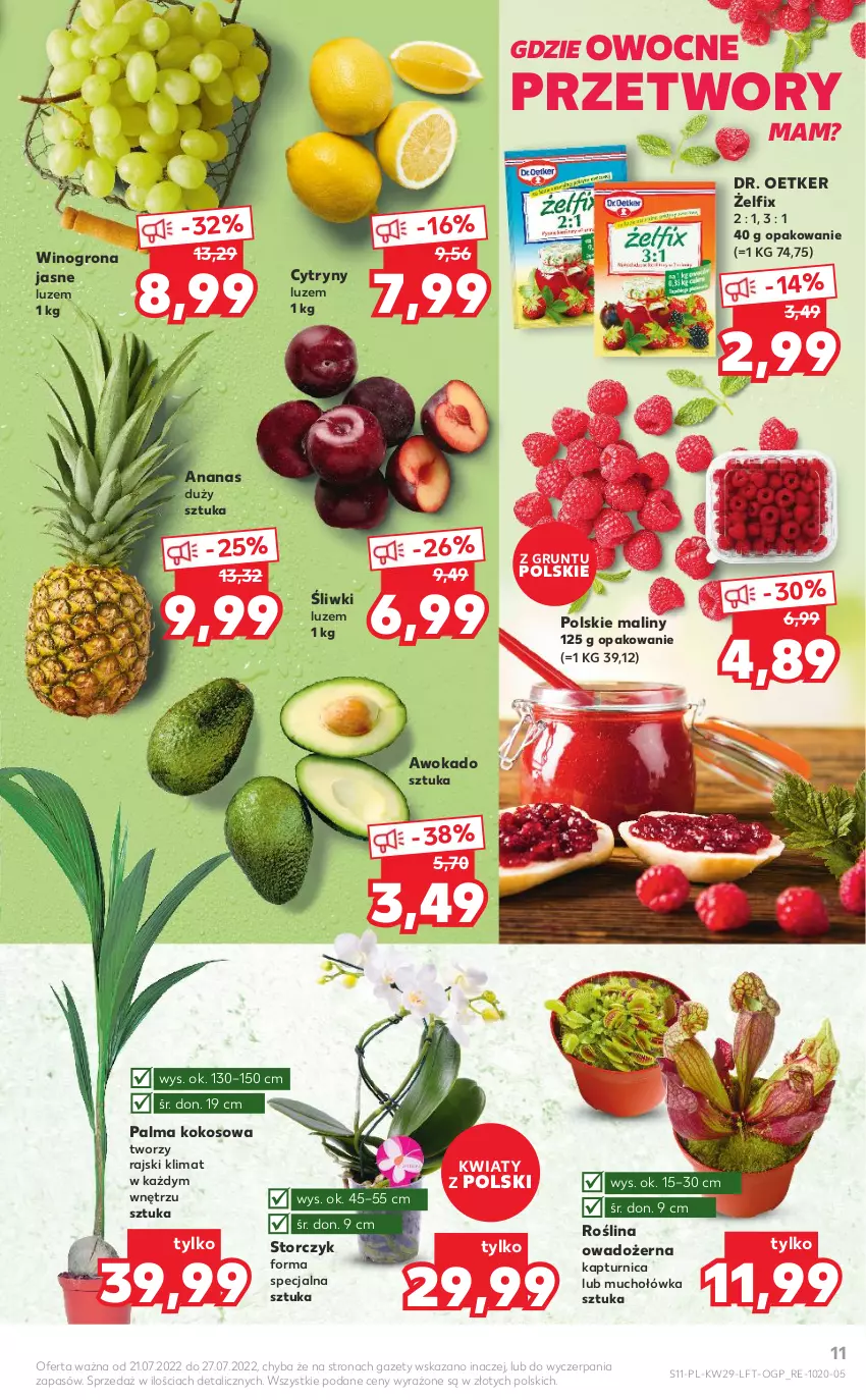 Gazetka promocyjna Kaufland - OFERTA TYGODNIA - ważna 21.07 do 27.07.2022 - strona 11 - produkty: Ananas, Cytryny, Dr. Oetker, Grunt, Kokos, Maliny, Palma, Storczyk, Wino, Winogrona