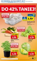 Gazetka promocyjna Lidl - GAZETKA - Gazetka - ważna od 07.11 do 07.11.2021 - strona 11 - produkty: Piec, Sałata lodowa, Włoszczyzna pęczek, Kolendra, Sałat, Seler naciowy