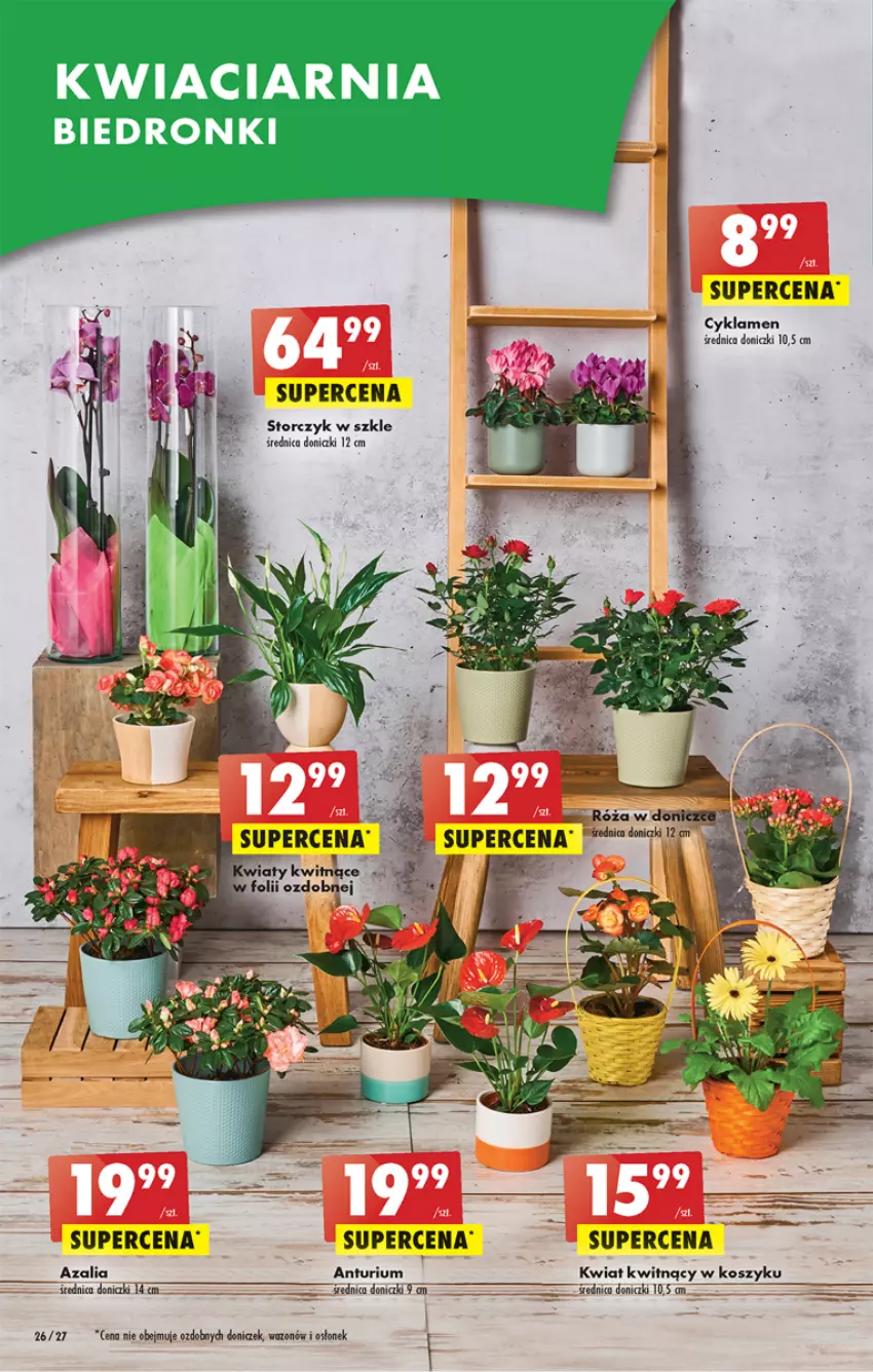 Gazetka promocyjna Biedronka - ważna 02.03 do 08.03.2023 - strona 26 - produkty: Cyklamen, Dron, Kosz, Róża, Storczyk, Wazon