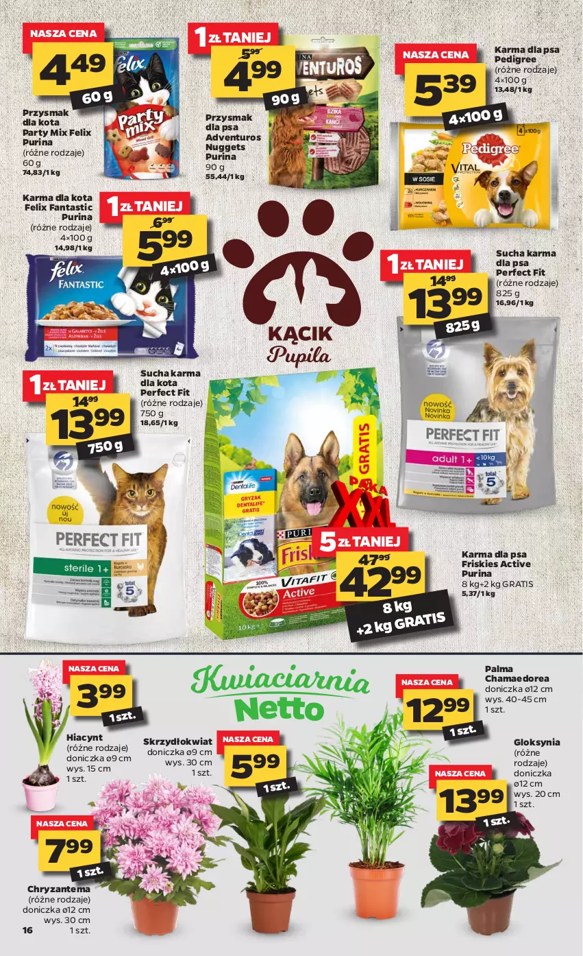 Gazetka promocyjna Netto - Oferta tygodnia - ważna 11.01 do 16.01.2021 - strona 16 - produkty: Adventuros, Chryzantema, Fa, Fanta, Felix, Friskies, Gra, Hama, Hiacynt, Palma, Pedigree, Przysmak dla kota, Przysmak dla psa, Pur, Purina, Sucha karma