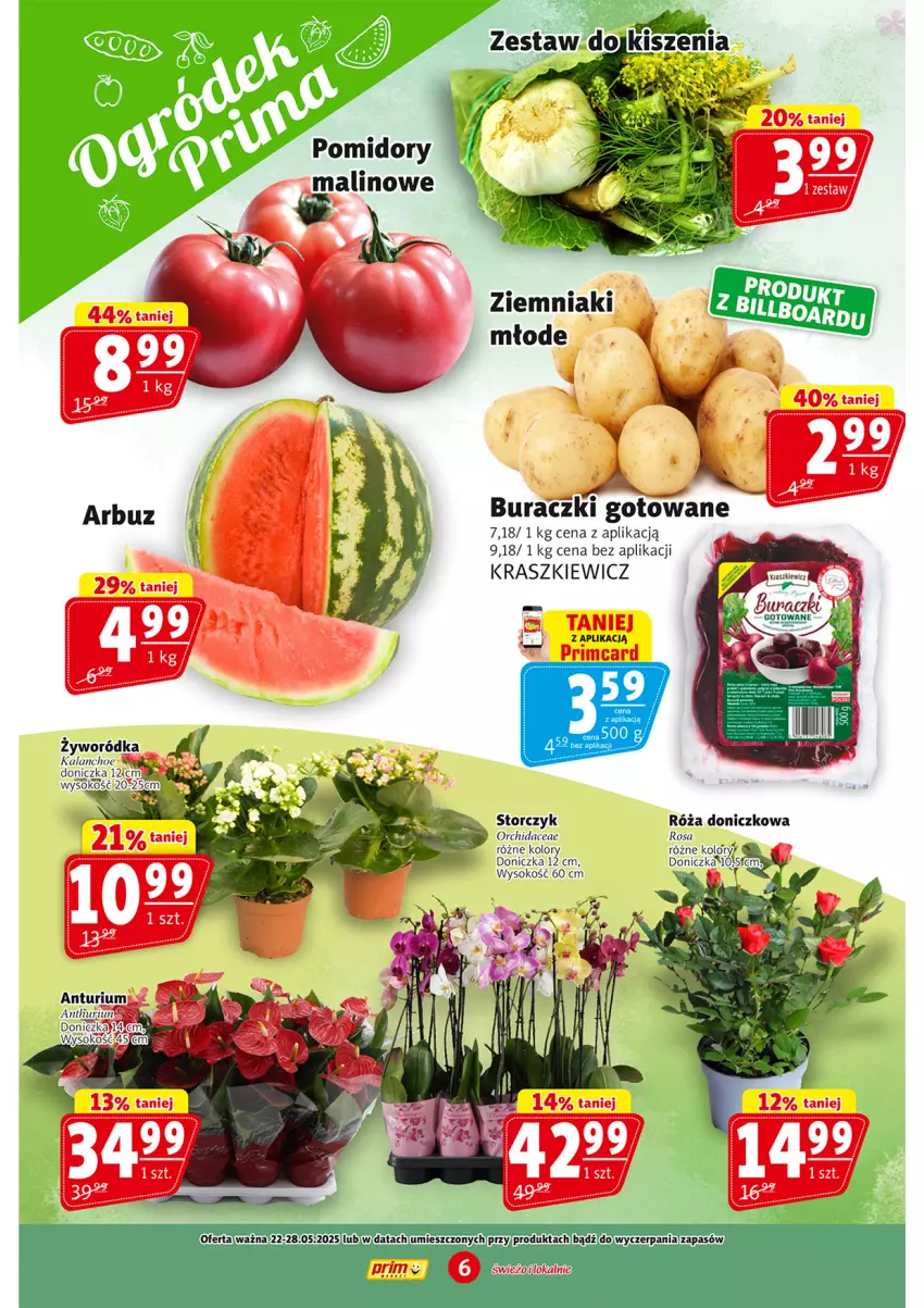 Gazetka promocyjna Prim Market - ważna 22.05 do 28.05.2025 - strona 6 - produkty: Buraczki, Pomidory, Róża, Sok, Storczyk, Ziemniaki