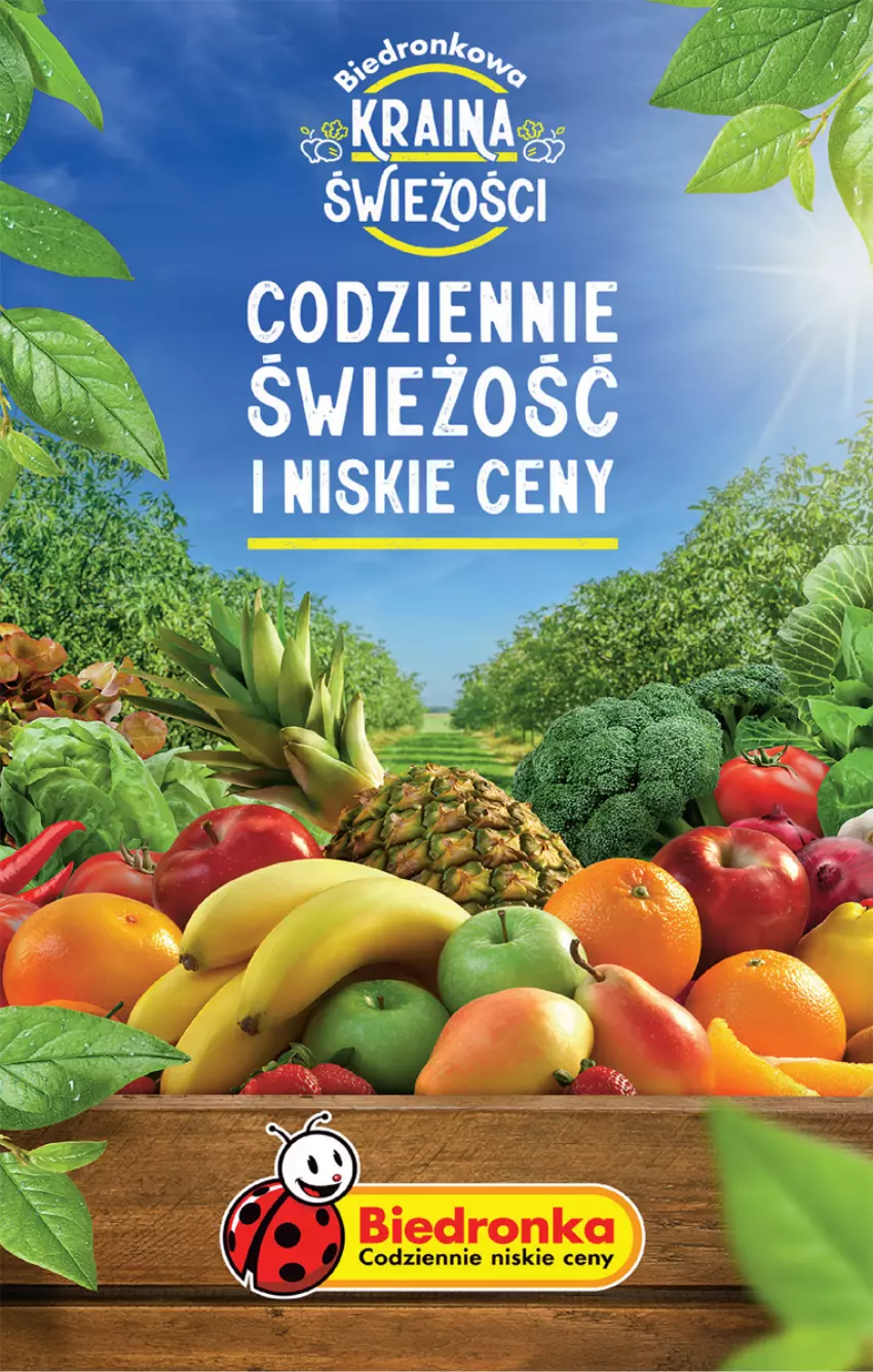 Gazetka promocyjna Biedronka - Od czwartku - ważna 25.01 do 31.01.2024 - strona 32