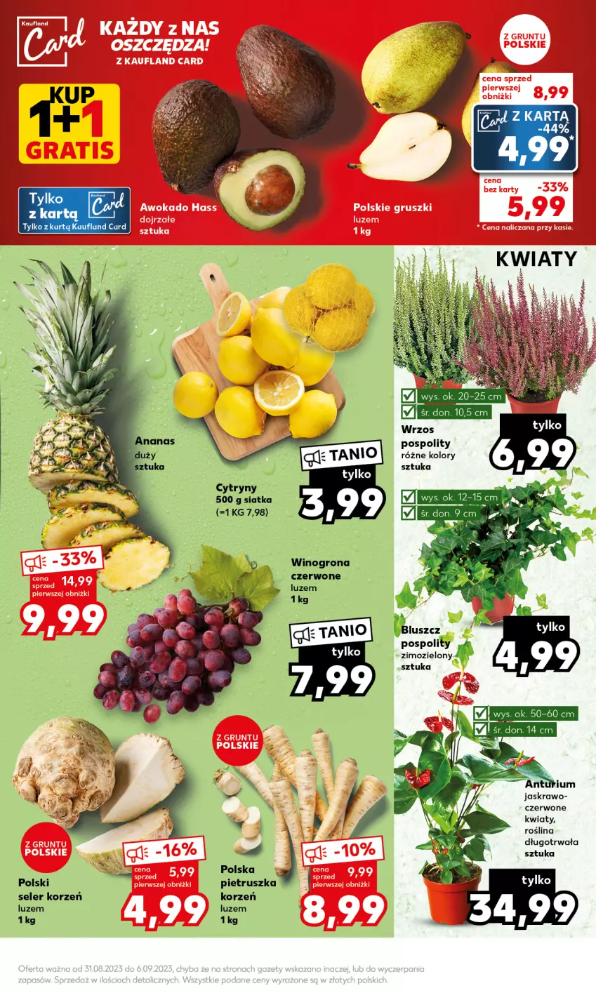 Gazetka promocyjna Kaufland - Mocny Start - ważna 04.09 do 06.09.2023 - strona 7 - produkty: Cytryny, Pietruszka, Seler korzeń, Siatka, Wino, Winogrona