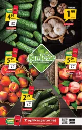 Gazetka promocyjna Arhelan - Gazetka - Gazetka - ważna od 09.08 do 09.08.2026 - strona 2 - produkty: Ogórek, Grunt