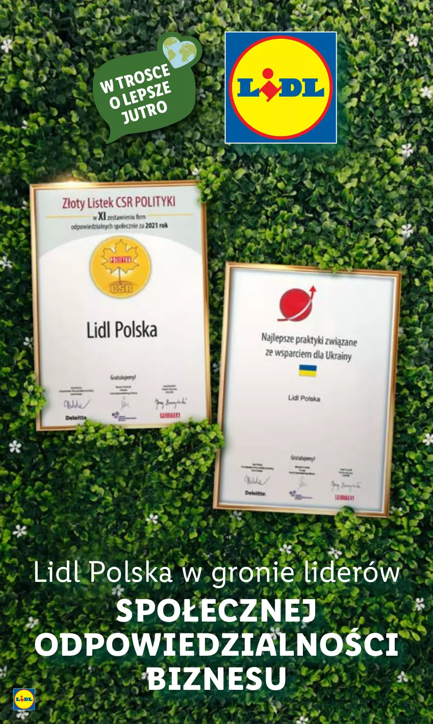 Gazetka promocyjna Lidl - GAZETKA - ważna 07.11 do 12.11.2022 - strona 63