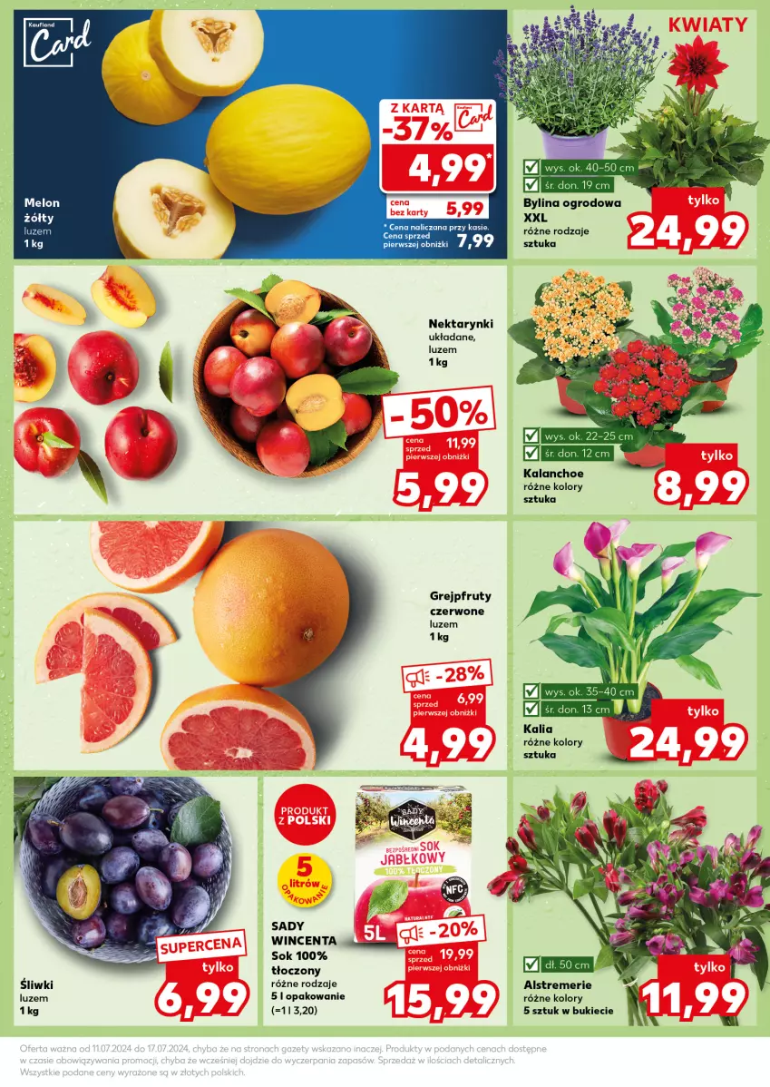 Gazetka promocyjna Kaufland - Kaufland - ważna 15.07 do 17.07.2024 - strona 11 - produkty: Grejpfrut, Kalanchoe, Melon, Nektar, Sok